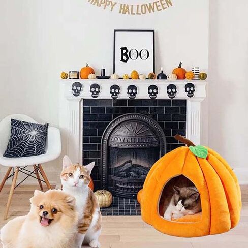 Cute Pumpkin Cat Bed for Indoor Cats，Pumpkin Shape Cat House with Removable Washable Cushioned Pillow，Cat Cave Bed Cat Tent for Puppy and Kitten (Blue,23 in) in Saudi Arabia