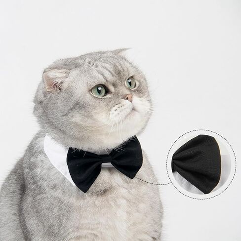 Pet Collar with Bow Tie Decoration, Adjustable Full Length 13 Inches, Perfect for Small and Medium Dogs. in Saudi Arabia