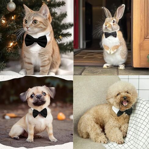 Pet Collar with Bow Tie Decoration, Adjustable Full Length 13 Inches, Perfect for Small and Medium Dogs. in Saudi Arabia