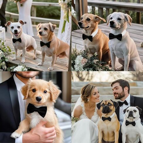 Pet Collar with Bow Tie Decoration, Adjustable Full Length 13 Inches, Perfect for Small and Medium Dogs. in Saudi Arabia