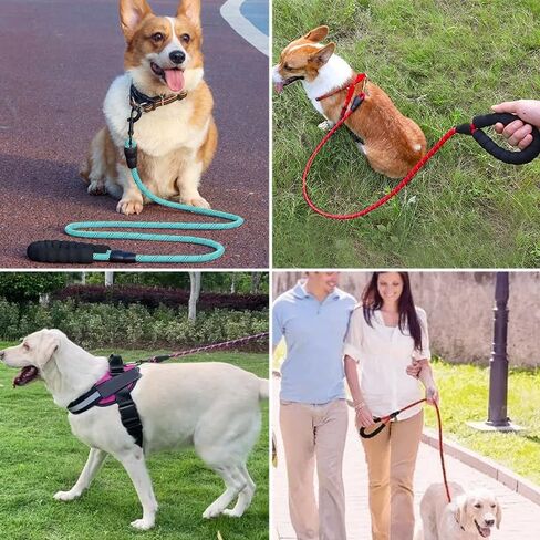 6.6FT Dog Leash with Comfortable Padded Handle, High-Visibility Reflective Threads, 1/2 inch, for Medium & Large Dogs, 5 Colors Available (Black/Purple/Pink/Blue/Red), Pink in Saudi Arabia