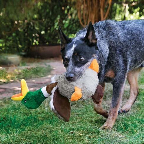 KONG Shakers Honkers Duck - Long Plush Toy with Low Tone Squeaker (Large) in Saudi Arabia