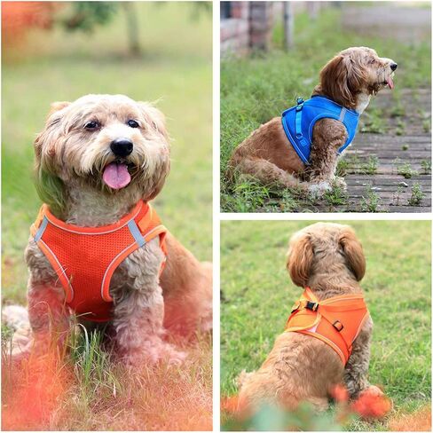 Step in Dog Harness, Pet Chest and Back and Traction Rope Set, Vest Harness for Puppy Cats,Reflective Tape, Large,Medium, Small, and Extra Small Sizes in Saudi Arabia