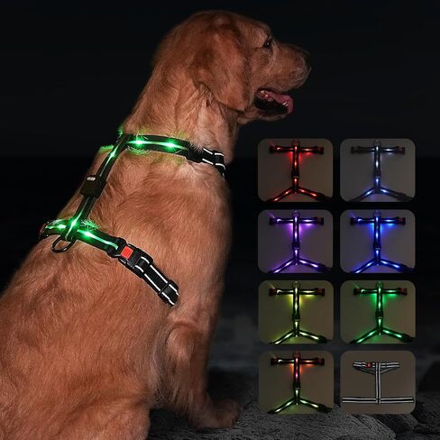 hamraba Light Up Dog Harness, No Pull Led Dog Harness with 10 Lighting Modes for Night Walking, Rechargeable Lighted Safety Vest for Medium Large Dogs，Adjustable Soft Nylon-Like Material (L) in Saudi Arabia