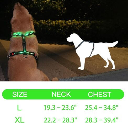 hamraba Light Up Dog Harness, No Pull Led Dog Harness with 10 Lighting Modes for Night Walking, Rechargeable Lighted Safety Vest for Medium Large Dogs，Adjustable Soft Nylon-Like Material (L) in Saudi Arabia