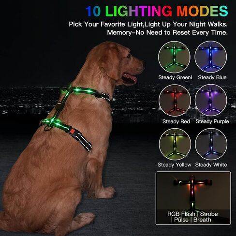 hamraba Light Up Dog Harness, No Pull Led Dog Harness with 10 Lighting Modes for Night Walking, Rechargeable Lighted Safety Vest for Medium Large Dogs，Adjustable Soft Nylon-Like Material (L) in Saudi Arabia
