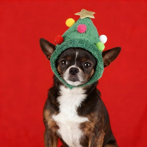 Christmas Tree Headwear Hat for Pet, Decorations Star Pompoms Christmas Cat Dog Headwear Photo Props (Small) in Saudi Arabia