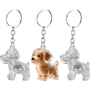Sanfly الحيوانات الأليفة تخزين الشعر كيرينغ 3pcs الكلب الشعر تخزين قلادة المفاتيح، الحيوانات الأليفة الشعر تذكارية كبسولة قلادة سلسلة المفاتيح التذكارية لمحبي الحيوانات الأليفة in Kuwait