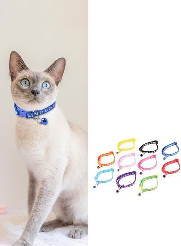 Pet Collars 10 Pack Colorful in Saudi Arabia