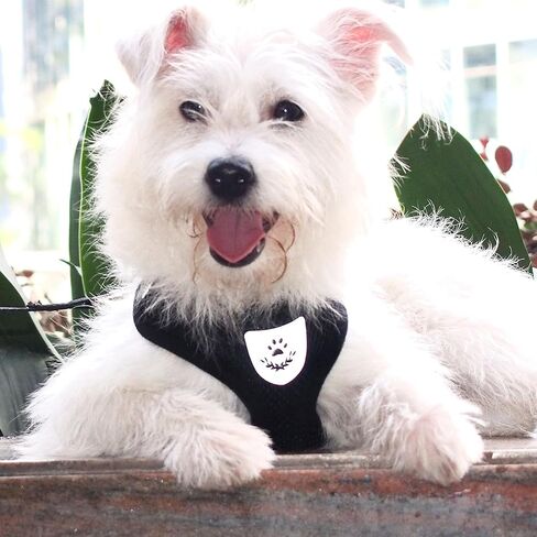 Pet Dog Vest Harnesses Puppy Cotton Polyester Adjustable Dog Mesh Harness Travel Chest Strap Vest Reflective (Black, L) in Saudi Arabia