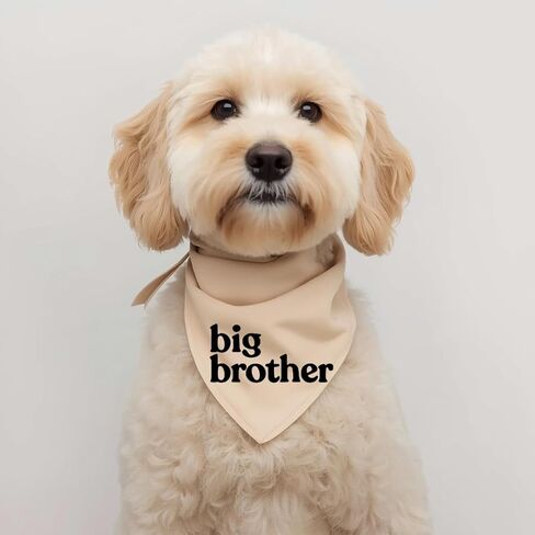 Big Brother Dog Bandana Beige Cream Creamy Natural Cotton Baby Pregnancy Announcement pet Scarf Sign in Saudi Arabia