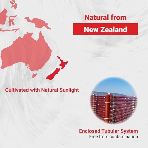 Naturalis New Zealand Astaxanthin | from Sustaibaly Grown Microalgae | Non-GMO, Soy & Gluten Free | 300 Mini-Softgels in Saudi Arabia