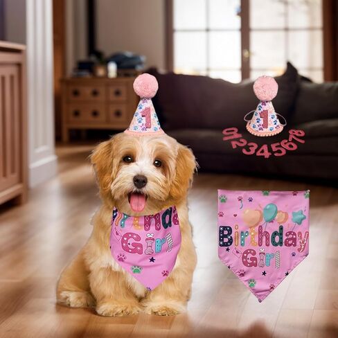 Dog Birthday Party Supplies, Birthday Girl Pink Bandana and Hat with Number for Small and Medium Dogs, Adorable Pink Birthday Accessories for Dog Celebrations in Saudi Arabia