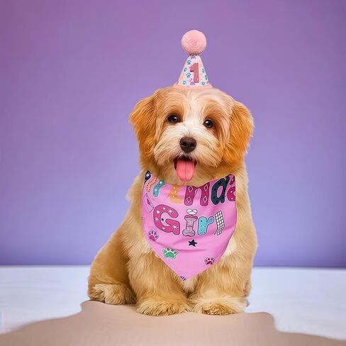 Dog Birthday Party Supplies, Birthday Girl Pink Bandana and Hat with Number for Small and Medium Dogs, Adorable Pink Birthday Accessories for Dog Celebrations in Saudi Arabia