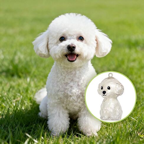 ELANE Dog Hair Keepsake，2 Pack Pet Hair Memorial Keepsake Pet Hair Keychain Keepsake (Clear-Poodle) in Saudi Arabia