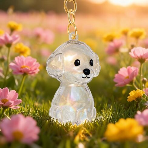 ELANE Dog Hair Keepsake，2 Pack Pet Hair Memorial Keepsake Pet Hair Keychain Keepsake (Clear-Poodle) in Saudi Arabia