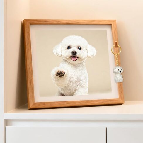 ELANE Dog Hair Keepsake，2 Pack Pet Hair Memorial Keepsake Pet Hair Keychain Keepsake (Clear-Poodle) in Saudi Arabia
