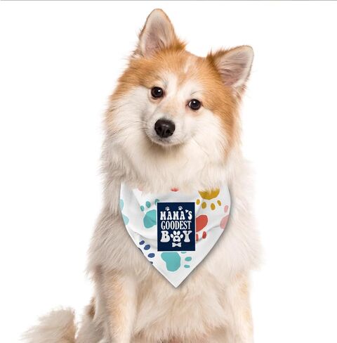 Red Dog Bandana, Comfortable Dog Bandana for Small Medium Large Dogs, Fabric Dogs Scarf for Doggies Cats Puppy, Funny Pet Gifts, I am Friendly Please Pet Me Scarf in Saudi Arabia