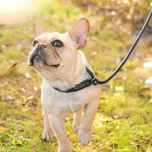 Lead Control Leash for Dogs No Pull, Classic Dog Lead 4.2 Ft Pet Slip Leash, 0.39" Rope Leashest with Safety Stopper for Small Medium Animals Red in Saudi Arabia