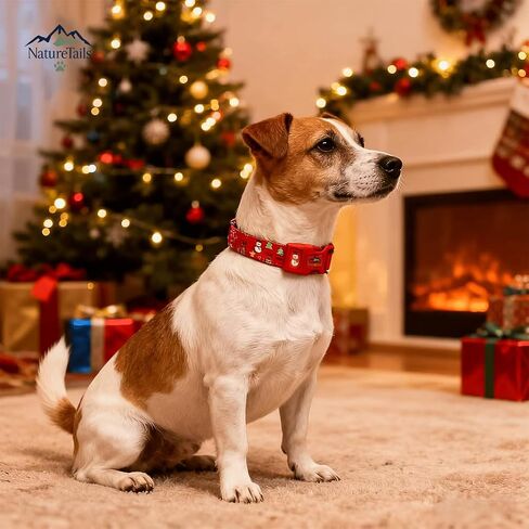 Christmas Dog Collar and Leash Set - Premium Adjustable Dog Collar for Small Medium Large and Extra Large Dogs (Medium) in Saudi Arabia