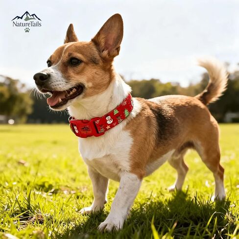 Christmas Dog Collar and Leash Set - Premium Adjustable Dog Collar for Small Medium Large and Extra Large Dogs (Medium) in Saudi Arabia