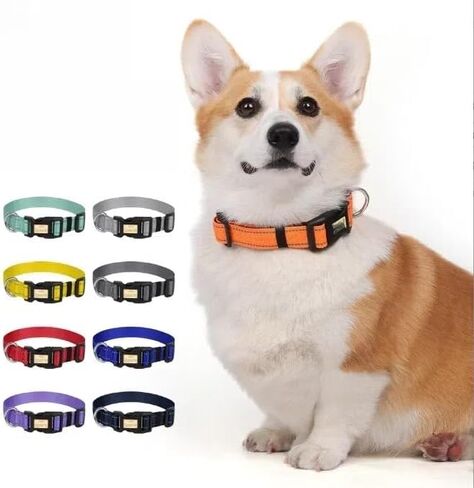 Reflective Adjustable Safety Nylon Dog Collar with Buckle for Medium Dogs,Purple M in Saudi Arabia