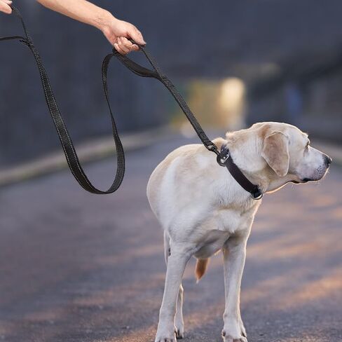 Dog Training Leash, Double Handle Dog Leash 6ft Long,Padded 2 Handle Reflective Training Leash for Small Medium Large Dogs in Saudi Arabia