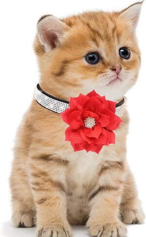 Rhinestone Small Dog Collar with Flower for Girl Female, Pink Dog Collars for Small Dogs, Bling Cat Collar (Pink, S) in Saudi Arabia