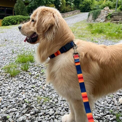 Pendleton Yellowstone National Park Adventure Leash 1" w in Saudi Arabia