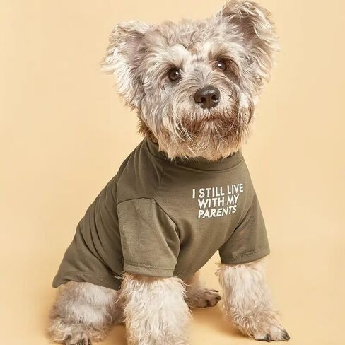 Cute Dog Clothes Dog T Shirt for Medium Dogs.Clothes for Small Dogs Breathable Soft Dog Costume Pet Dogs Cats,Pet Pullover Jumper,Cat Clothes (M-(7~11lb), Chest~16",Khaki) in Saudi Arabia