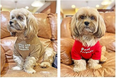 Cute Dog Clothes Dog T Shirt for Medium Dogs.Clothes for Small Dogs Breathable Soft Dog Costume Pet Dogs Cats,Pet Pullover Jumper,Cat Clothes (M-(7~11lb), Chest~16",Khaki) in Saudi Arabia