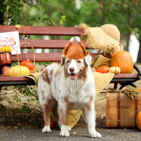 Rypet Thanksgiving Turkey Drumstick Hat for Dog, Pet Halloween Thanksgiving Costumes Dog Drumstick Hat, Turkey Headgear Party Cosplay Accessories for Medium and Large Dogs in Saudi Arabia