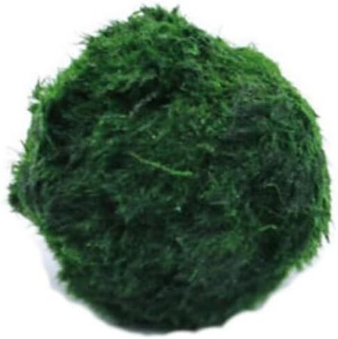 3-4cm Balls Live Aquarium Plant Algae Fish Shrimp Tank Ornament Simulation Green Algae Balls Artificial Plant in Saudi Arabia