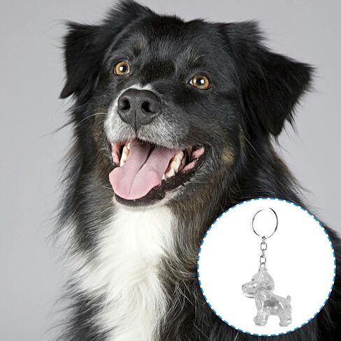 Sanfly الحيوانات الأليفة تخزين الشعر كيرينغ 3pcs الكلب الشعر تخزين قلادة المفاتيح، الحيوانات الأليفة الشعر تذكارية كبسولة قلادة سلسلة المفاتيح التذكارية لمحبي الحيوانات الأليفة in Kuwait