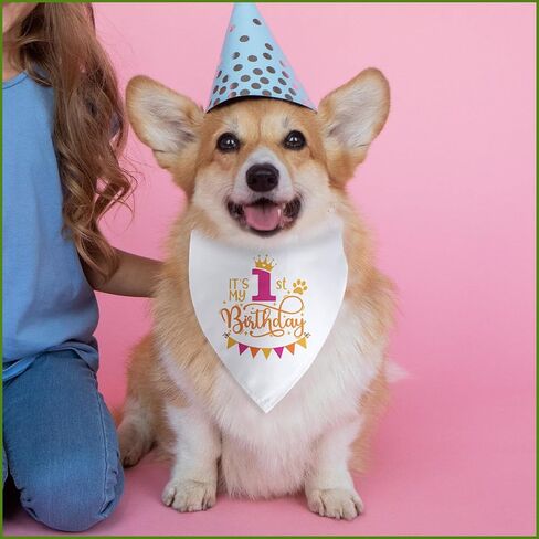 It's My 1st Birthday Dog Bandana Happy 1st Birthday Pet Triangle Scarf for Large Medium Small Dogs One Year Old Gifts Photo Prop Pet Scarf Accessories Christmas Puppy Gifts in Kuwait