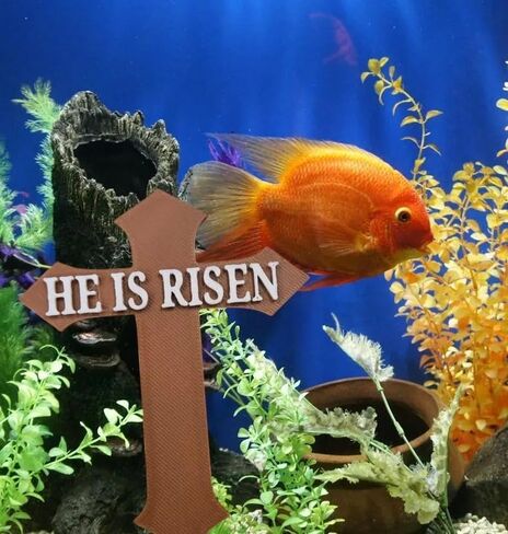 Cross for Aquarium Easter Sign He is Risen Aquarium Decor Fish Tank Decorations Fish Tank Accessories Aquarium Accessories Jesus Cross in Saudi Arabia
