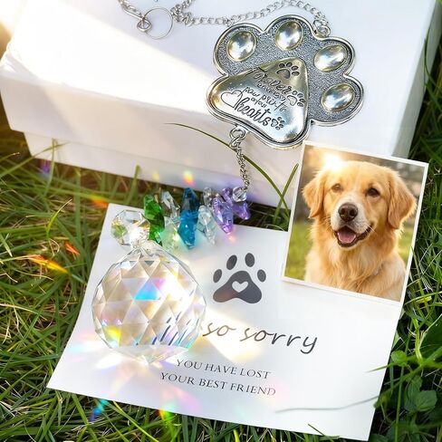 Pet Loss Sympathy Gift, Memorial Gifts for Dogs Passing Away Pet Remembrance Gift Dog Cat, Exquisite Paw Print Suncatcher 【Sturdy & No Scratches】 in Saudi Arabia