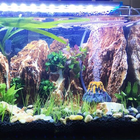 Practical Decoration Aquarium Air Bubble Ornament Oxygen Pump Air Bubble Stone Fish Tank Accessories(B) in Saudi Arabia