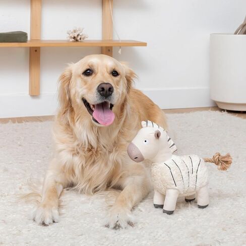 لعبة فرينج ستوديو "Feather Than Ever 3D Earth Friendly Dog، مجموعة PetShop (718012) in Kuwait
