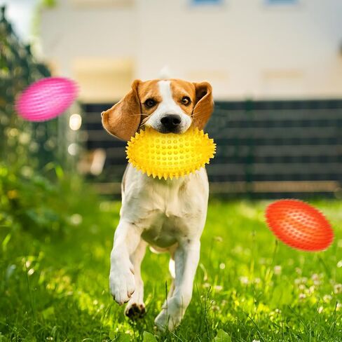 6 Pcs 4.5'' Spiky Squeaker Colorful Football Dog Toys for Medium Large Dogs Toys Heavy Duty Rubber Chew Toy for Aggressive Chewers Spiky Ball Fetch Toy for Training Clean Teeth Outdoor in Saudi Arabia