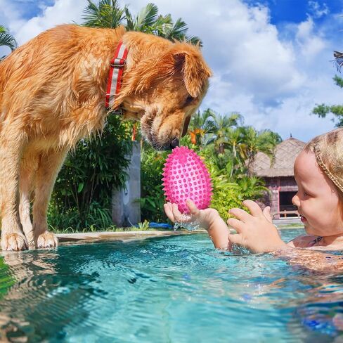 6 Pcs 4.5'' Spiky Squeaker Colorful Football Dog Toys for Medium Large Dogs Toys Heavy Duty Rubber Chew Toy for Aggressive Chewers Spiky Ball Fetch Toy for Training Clean Teeth Outdoor in Saudi Arabia