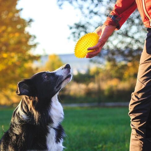 6 Pcs 4.5'' Spiky Squeaker Colorful Football Dog Toys for Medium Large Dogs Toys Heavy Duty Rubber Chew Toy for Aggressive Chewers Spiky Ball Fetch Toy for Training Clean Teeth Outdoor in Saudi Arabia