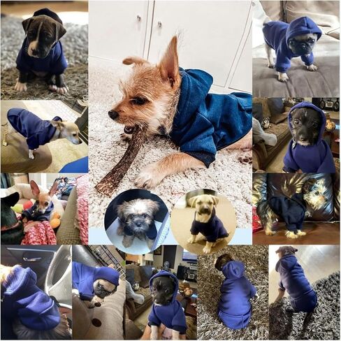 Winter Dog Hoodie Sweatshirts with Pockets Warm Dog Clothes for Small Dogs Chihuahua Coat Clothing Puppy Cat Custume (Navy, Small) (Large) in Saudi Arabia