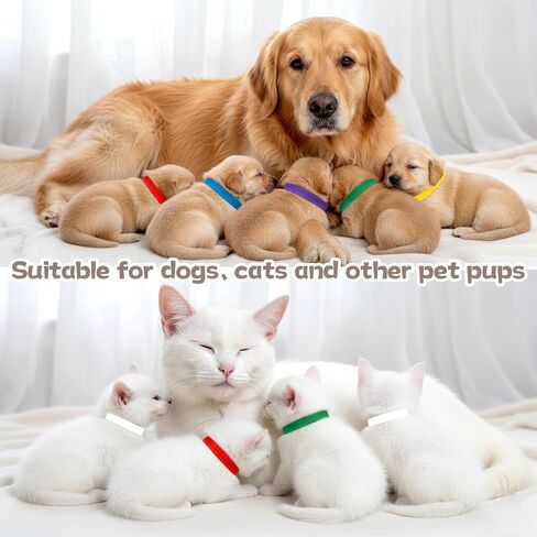 45 Pcs Puppy Whelping Collars, Newborn Pet Collar, 3 Sizes Adjustable Puppys Collars, Double-Sided Soft Adjustable ID Bands Puppy ID Collar for Newborn Pet Dog Cat 15 Colors (S/M/L in Saudi Arabia