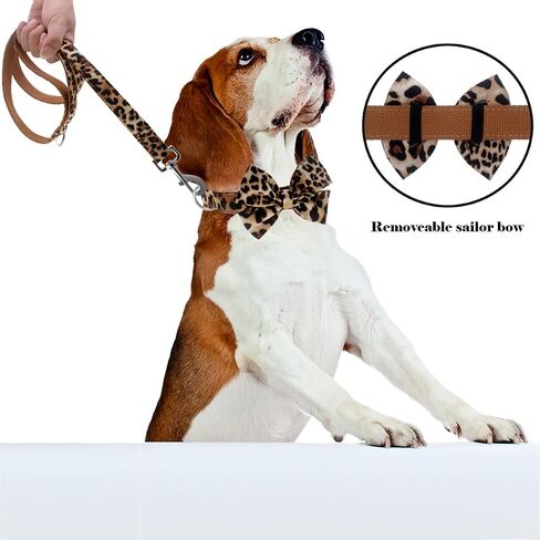 Dog Collar with Bow, Cotton & Webbing, Detachable Bowtie Dog Collar, Adjustable Dog Collars and Leash for Small Medium Large Dogs (Medium, Leopard Print) in Kuwait