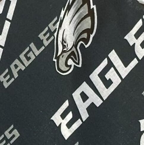 Philadelphia Pet Bandana (Medium) in Saudi Arabia
