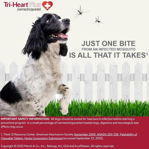 TRI-HEART PLUS Chewable Tablet for Dogs, up to 25 lbs (Blue Box), 6 Chewable Tablets, 6-Month Supply in Saudi Arabia