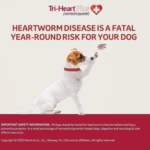 TRI-HEART PLUS Chewable Tablet for Dogs, up to 25 lbs (Blue Box), 6 Chewable Tablets, 6-Month Supply in Saudi Arabia
