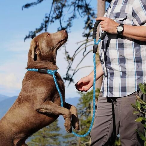 Breathable Summer Dog Leash - Reflective Foam-Padded Lead with High-Tenacity Polyester, Non-Slip Grip for Day & Night Safety, Black in Saudi Arabia