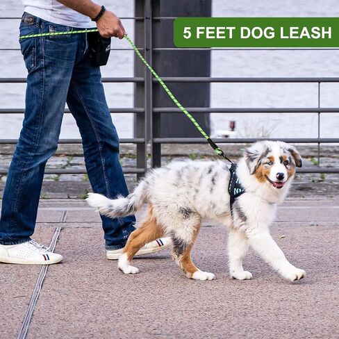 5Ft Dog Leash with Comfortable Padded Handle, Highly Reflective Threads Dog Leash for Small Medium and Large Dogs (5ft-1/2'', Gray) in Saudi Arabia